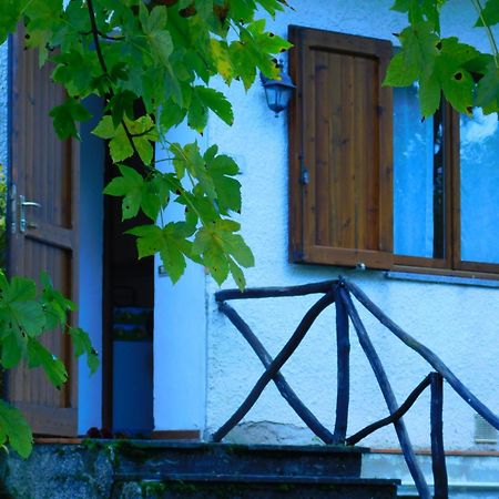 Graziosa Casetta Con Camino In Pietra E Giardino Abetone Dış mekan fotoğraf